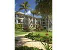 �^�[�g���x�C���]�[�g�iTurtle Bay Resort�j�F�O��