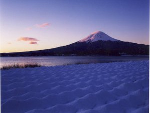 空気が凛と澄んだ冬は富士山も一段と美しい