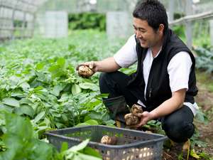 自家栽培野菜は､その日の分だけ収穫｡野菜の本当の甘味を是非♪