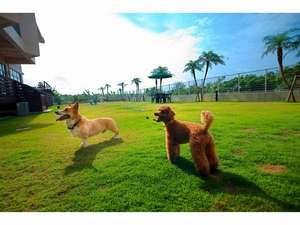 石垣島 犬と泊まれるホテル バリリゾートin石垣島