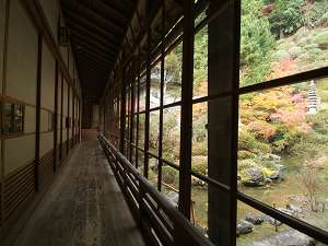 �Տƌ��@�摜