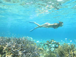 はいむるぶし：美しいサンゴ礁の海を楽しめる「美ら海シュノーケル」（3時間コース）