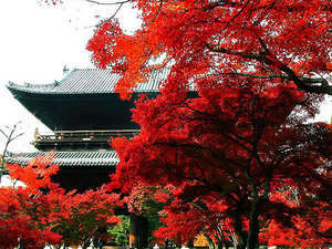紅葉の南禅寺の山門