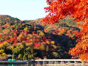 【渡月橋と紅葉】例年では11月後半が紅葉のピーク！赤や黄の錦に染まる嵐山の絶景をお楽しみに！