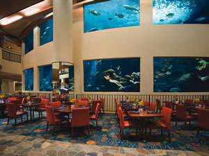 �p�V�t�B�b�N�r�[�`�z�e���iPacific Beach Hotel�j�F���吅�����l�C�̃��X�g�����I�[�V���i���E��
