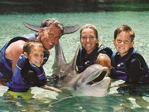 �q���g�����C�R���A�r���b�W�iHilton Waikoloa Village�j�F�t�@�~���[�h���t�B���E�v���O����