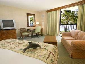 �q���g�����C�R���A�r���b�W�iHilton Waikoloa Village�j�F�P�L���O���[���E���i�C�t��