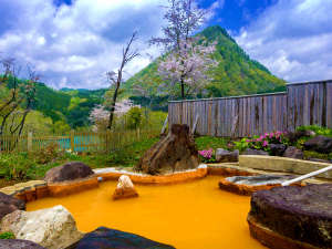 南玉川温泉　蜜柑色の温泉と料理自慢の宿　はなやの森：四季の移ろいを眺めながら、ゆったりと・・・。珍しいみかん色の湯は源泉掛け流し♪