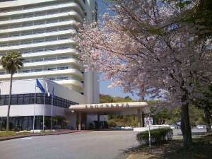 土佐ロイヤルホテル：【春】　３月下旬さくらの開花は高知から　　