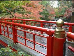 花小道：修善寺温泉街　桂橋　紅葉がとても美しいです。