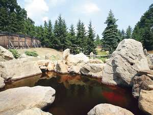 十勝川温泉　第一ホテル：野趣満点の庭園露天風呂。他、ジャグリー風呂、打たせ湯、アロマが香るミストサウナなどを備えます