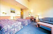 �t���[�U�[�z�e���摜