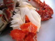 �z�e�����{�摜