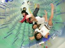 ���{��z�e���O�����摜