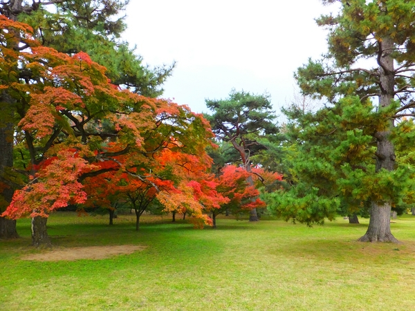 京都御苑