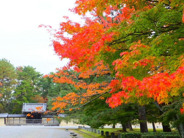 京都御苑