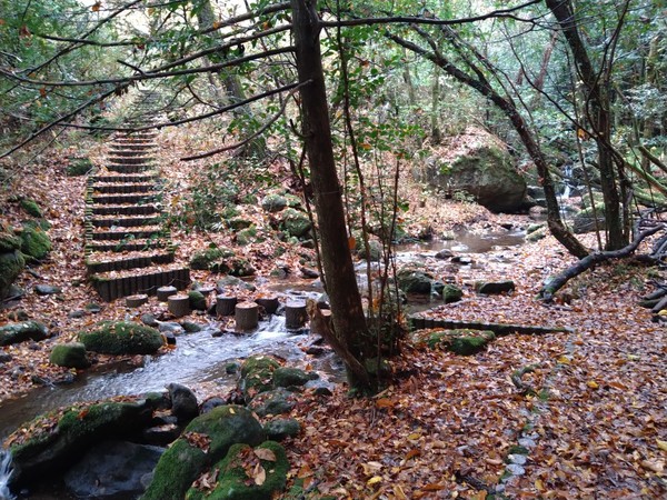 清流の森・雀地獄