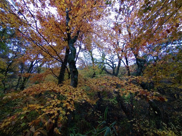 清流の森・雀地獄
