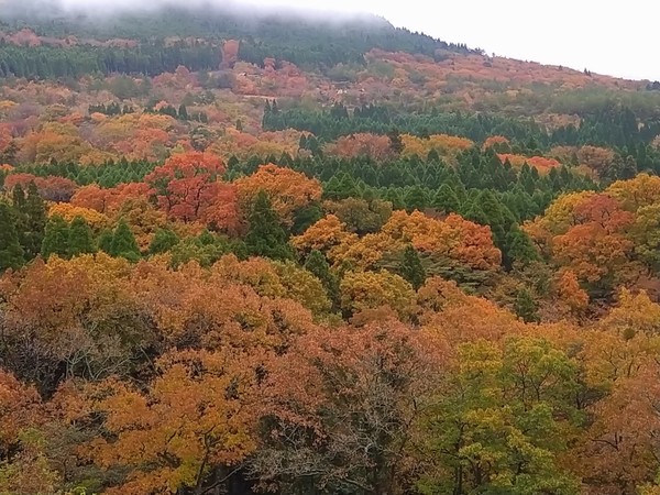 清流の森・雀地獄