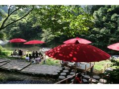 山中温泉「鶴仙渓 川床」の写真1