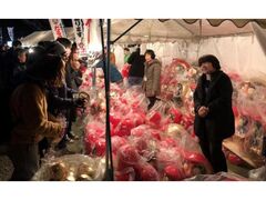 少林山七草大祭だるま市の写真1