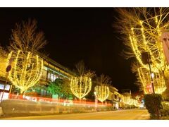 善光寺表参道イルミネーションの写真1