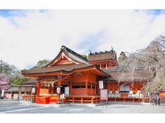 富士山本宮浅間大社 初詣の写真1