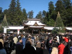 多賀大社 初詣の写真1