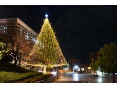 クリスマス・イルミネーション(京田辺校地)の写真1