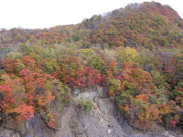 ミユさんの日高竜門の投稿写真1