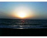 こゆきさんの千本浜公園の投稿写真1