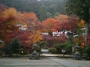 ミカさんの大洞院の投稿写真1