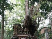 K2さんの熱海温泉の投稿写真1