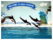 BELLさんの横浜・八景島シーパラダイス アクアリゾーツの投稿写真1