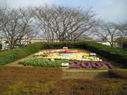 観光屋さんの小菅東スポーツ公園の投稿写真1