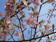 asahiさんの入鹿池の投稿写真1