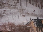 muji-fxさんの浜益温泉の投稿写真1