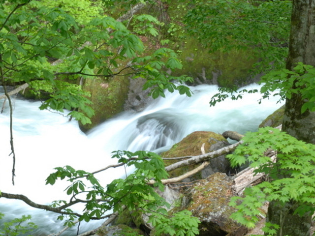takaさんの古寺渓谷神通峡の投稿写真1