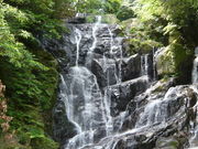 うめさんの白糸の滝の投稿写真1