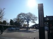 ウォーレンさんの太田宿中山道会館の投稿写真1