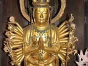 tsuzu-QEEさんの本光寺のあじさいの投稿写真1