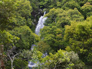 仙人さんの観音滝の投稿写真1
