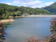 ひっちぃさんの美鈴湖の投稿写真1