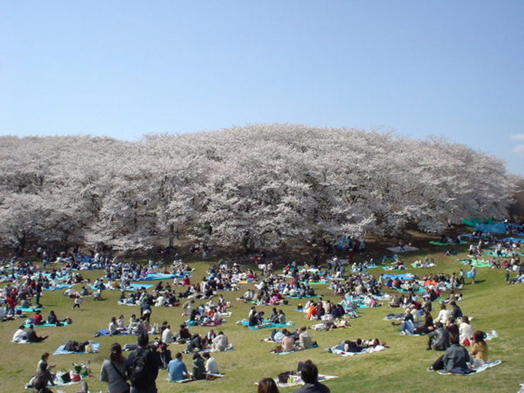 根岸森林公園