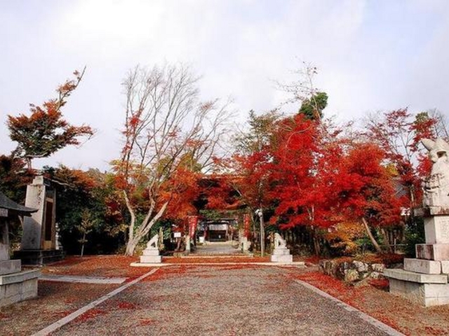 軻遇突智さんの中山神社の社叢(神社の森)の投稿写真1