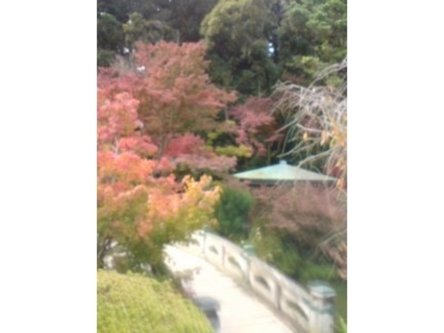 長府庭園