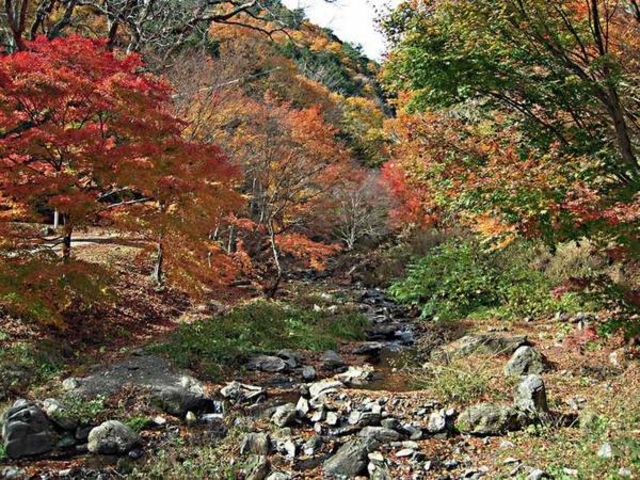 横川峡