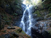 のび太さんの滝畑四十八滝の投稿写真1