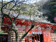 ゲストさんの荏柄天神社の投稿写真1