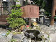 松本浅間温泉 ホテル玉之湯さんの槻井泉神社の湧泉の投稿写真1